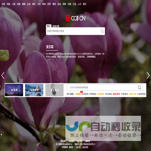 cc0图片网（cc0.cn）