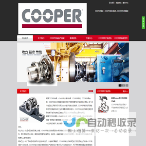 COOPER轴承