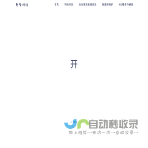 网站开发
