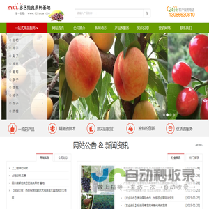 四川成都龙泉忠艺纯良果树苗基地