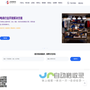 软件开发