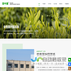 安吉圣叶园茶场