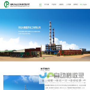 河北大鹏医药化工有限公司