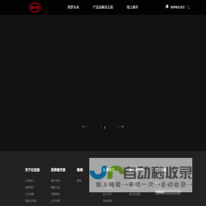 比亚迪(BYD)集团