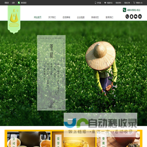 福建东来茶业有限公司
