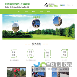 河北彬鑫园林绿化工程有限公司