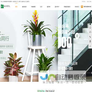 上海花卉租赁