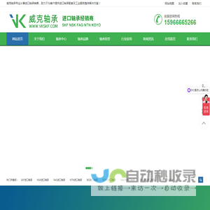 SKF进口轴承