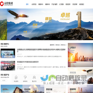 山东京投集团有限公司