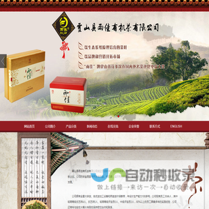 茶
