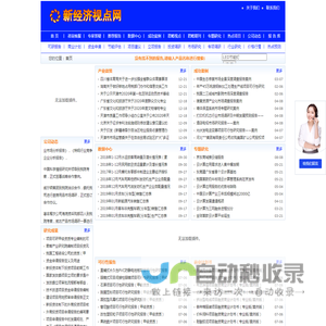新经济视点网