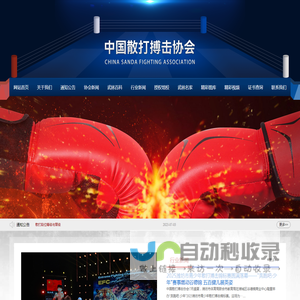中国散打搏击协会