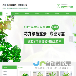西安绿植租摆