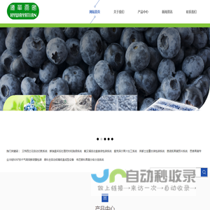 网站首页