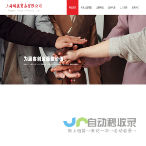 上海璃盈贸易有限公司