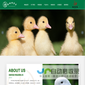 河间市新兴鸭业有限公司