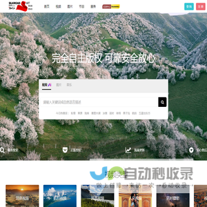丝路艺术网