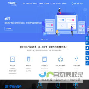 西安软件开发