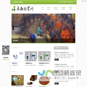 广西糖蜜网