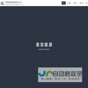 海南港龙能源有限责任公司