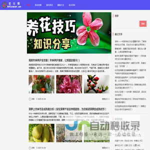 花儿网