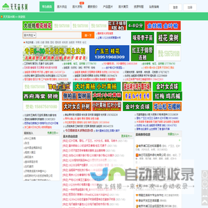 天天苗木网