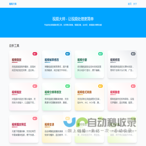 视频大师