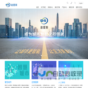 上海迪爱斯信息技术有限公司
