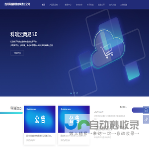 四川科瑞软件有限责任公司