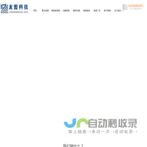 龙盟网络