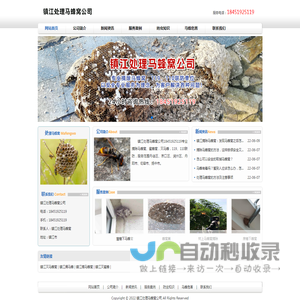 镇江灭马蜂窝