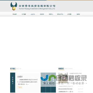 云南睿鹰