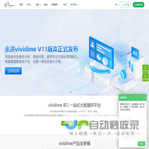 永洪科技