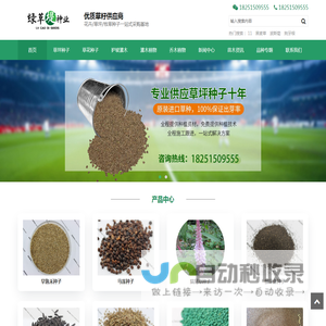进口草坪种子批发供应商