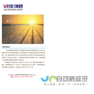 上海中核维思仪器仪表有限公司