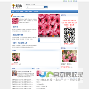 云南鲜花速递网