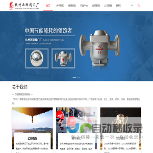 蒸汽疏水阀