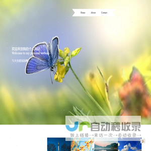 bill个人信息