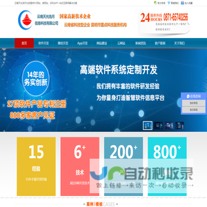 软件开发