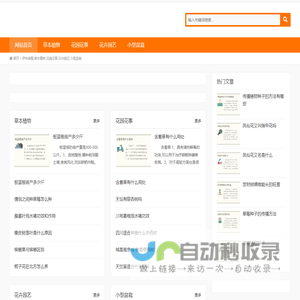 伊布绿植,草本植物,花园花事,花卉园艺,小型盆栽