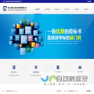 成都标书制作