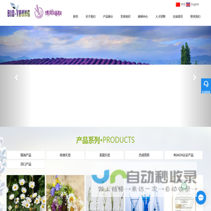 萨利麝香,野菊花精油,薰衣草精油工厂,茴油,柠檬桉油