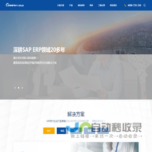 SAP实施商