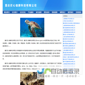 重庆匠心瑞麟科技有限公司