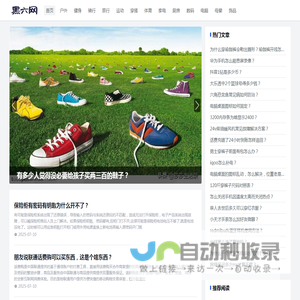 黑六网