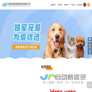 宠物用品