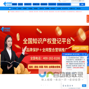 东莞网络公司