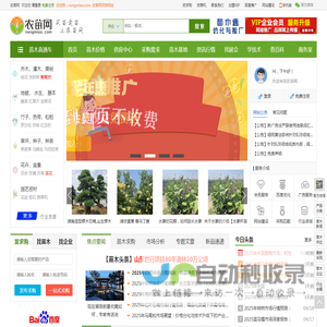 农苗网