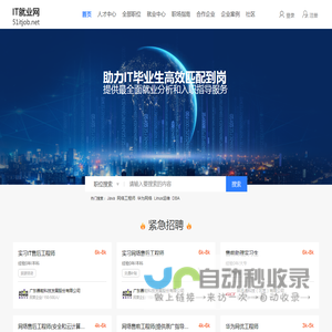 IT人才输送,IT人才定制,企业高端人才服务商