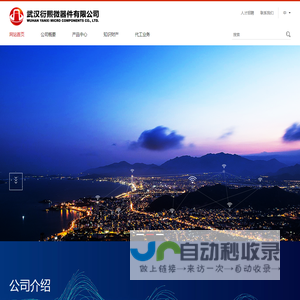 武汉衍熙微器件有限公司